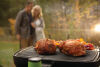 Napoleon Elektrogrill TravelQ PRO285E