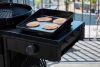 Outdoorchef Gaskugelgrill Davos 570 G PRO BZ
