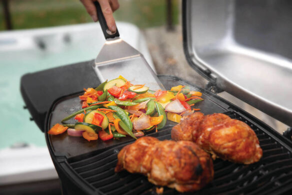 Napoleon Elektrogrill TravelQ PRO285E