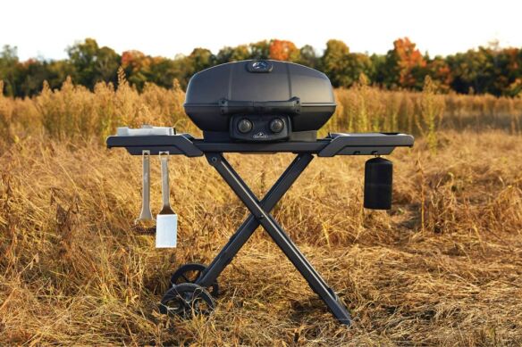 Napoleon Gasgrill Phantom TravelQ Pro285X inkl Grillschale