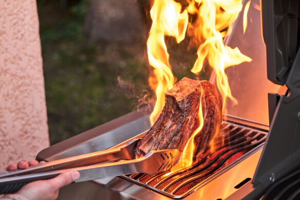 Napoleon Prestige 500 Gasgrill - mit SIZZLE ZONE und Heckbrenner - Schwarz - Modell 2025