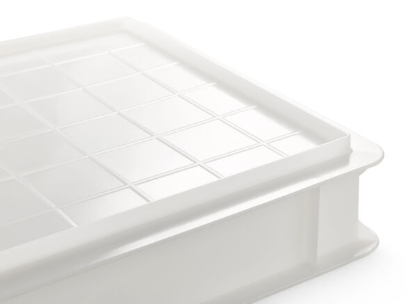 Pizzaballenbox inkl. Deckel 6,4 L (40x 30x 7 cm) 