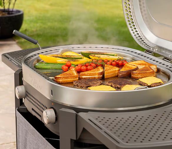 Solo Stove Steelfire 30