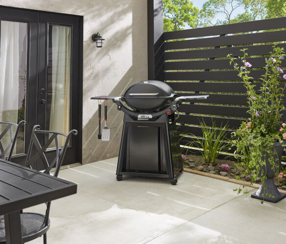 Weber Gasgrill Q 2800N+ mit Premium-Rollwagen